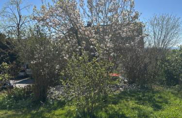 Ferienhaus Alpenblick - Foto 12