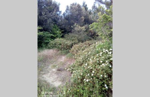 Casa nel parco sulla spiaggia - Foto 27