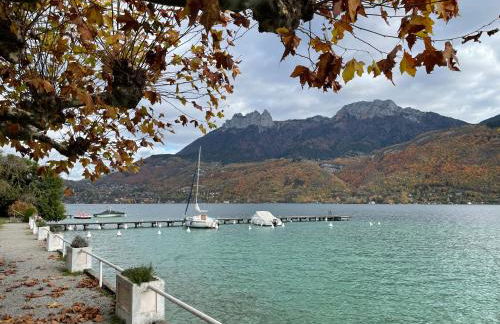 Rare 2 bedroom with private beach on Lake Annecy - Foto 30