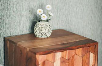 Vale Pisco - Photo 42