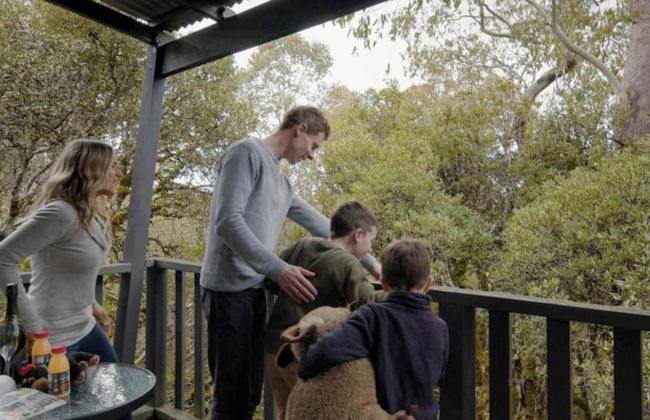 Discovery Parks - Cradle Mountain - Foto 70