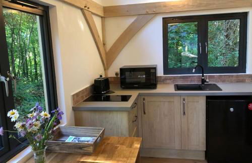 Woodland Cabin Retreat in Alfriston - hot tub - Foto 10