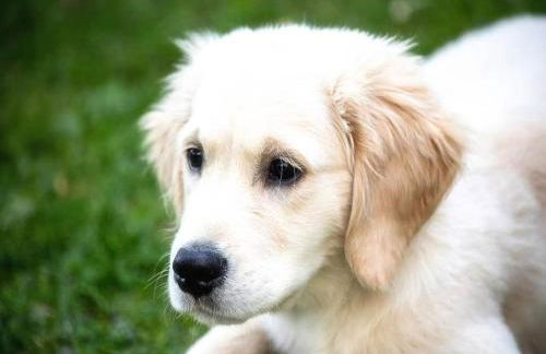 Ferienwohnung Lindenhof - Foto 33