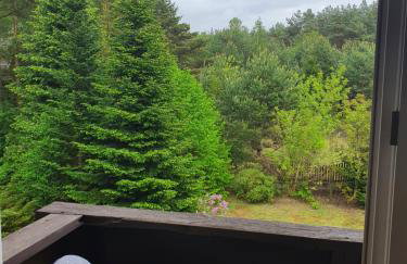 Przestronny, komfortowy dom - Foto 32