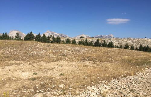 La joue du loup, aux pieds des pistes et vue sur montagnes - Photo 29