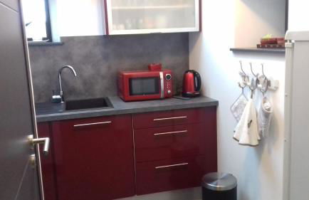 le bois du loup en brocéliande - Foto 15