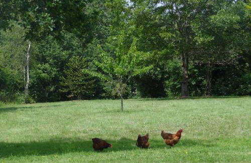 Domaine Des Coutelleries - Foto 23