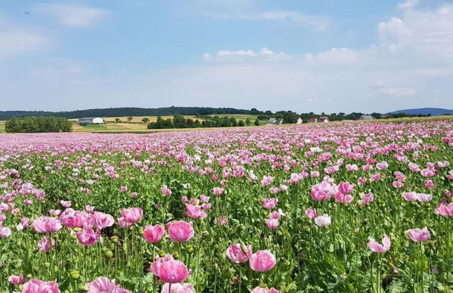 Lovely Apartment in Hesse - Foto 36