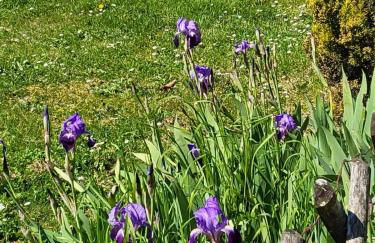 La Bonne Vie Gite - Foto 30