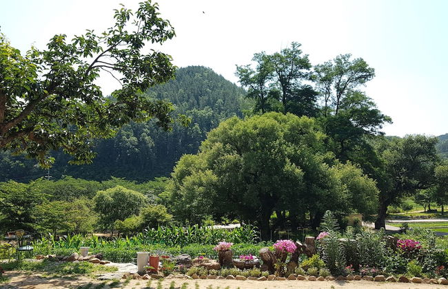 Moonlight House - Photo 35