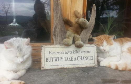 Casa della Casa - Foto 25