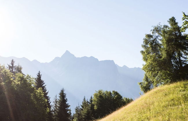 Holiday Home Chalet Astrid - Foto 11