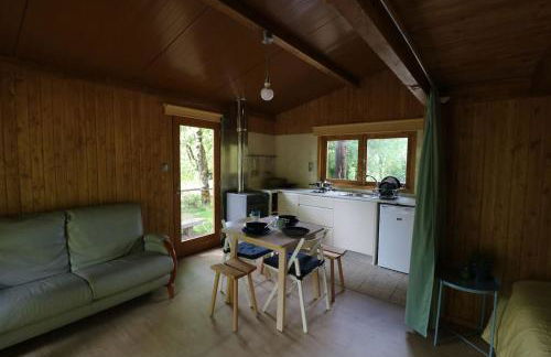 Quinta do Castro Wood House - Foto 19