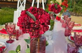 Królikowe Chaty - Foto 76