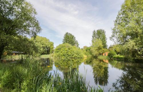 Kingfisher - Foto 20