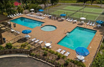 The Overlook - '21 Cabin - Gorgeous Unobstructed Views - Fire Pit Table - GameRm - HotTub - Xbox - Lots of Bears - Foto 69