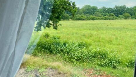 Familienfreundlichen Apartment mit traumhaft grüner Aussicht - Foto 2