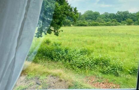 Familienfreundlichen Apartment mit traumhaft grüner Aussicht - Foto 2