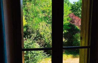 Les Studios Grenouilles - Foto 20