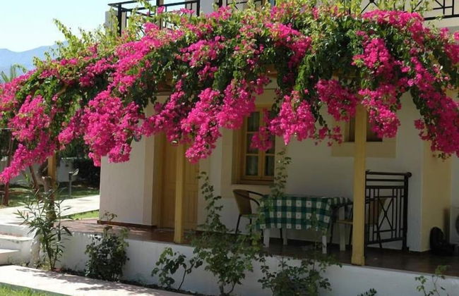 Sergiani Garden - Photo 57