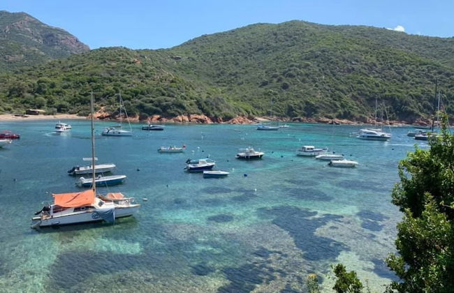 Corsica Paradise - Photo 31