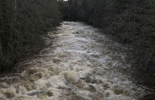 The Struan Inn Self Catering Lodge - Photo 43