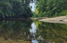 Natureza Loft - Foto 28