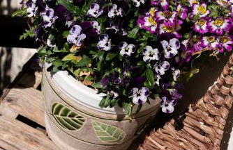 Oberhabererhof - Photo 9