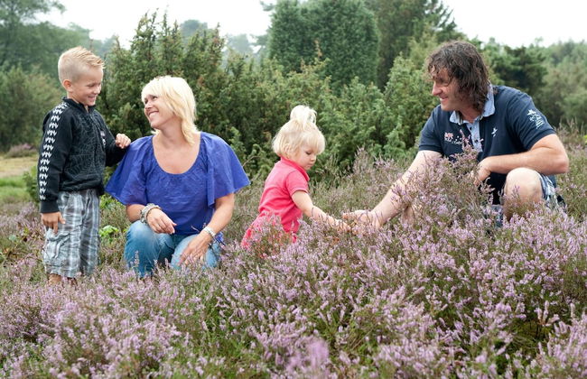 Bungalow in De Peel by Forest Retreat - Photo 21