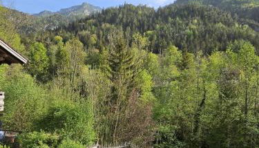 Ferienwohnung Sonnenschein - Foto 2