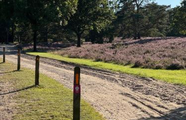 Ferienhäuser Wintermoor - Foto 10