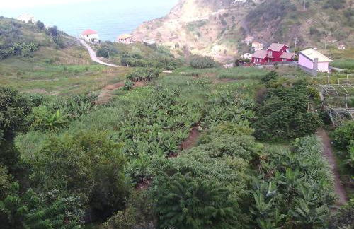 Vista Boa - Photo 24