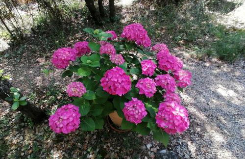 La Cabane Féerique Le Clos des Perles - Foto 60