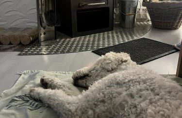 Ferienwohnungen Dorfliebe Dörnberg - Foto 35