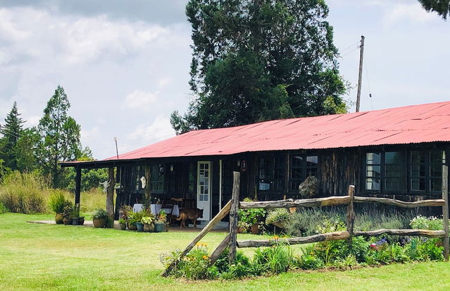 Dream the days away - The Rustic Barn - Foto 48