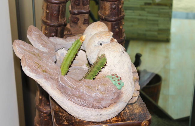 Ecoair Apartment Hotel - Foto 45