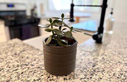 Peak to Lake Escape - Foto 3