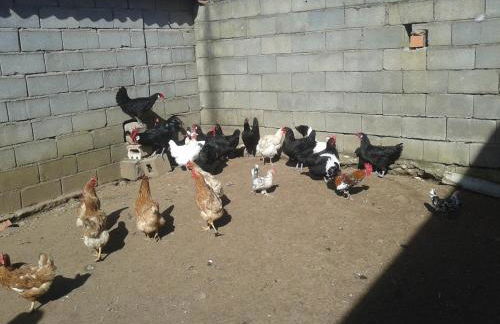 Casa Rural la Vallejera - Foto 93