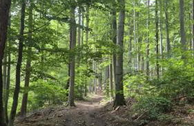 Sowi Przystanek - Foto 19