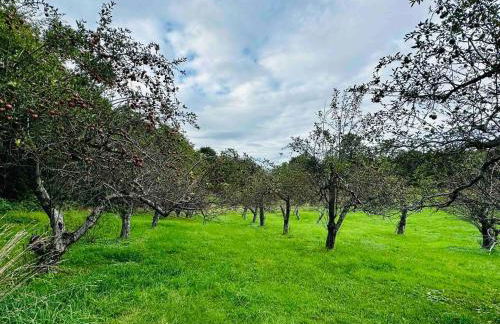 3 Bedroom Hilltop Escape with 5 Private Acres and Hot Tub - Foto 22