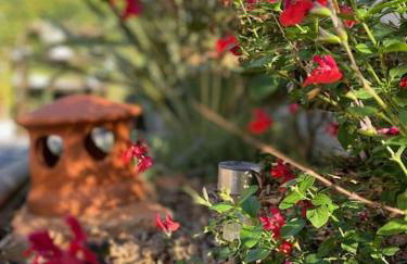 L'échappée créative - Foto 31