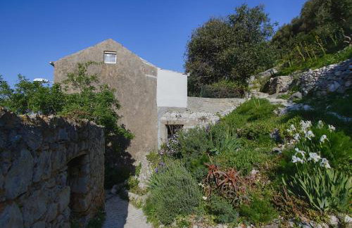 Apartment Cacini Dvori - Foto 15