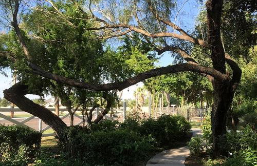 Historic Cottage Rental near Bentsen-Rio Grande Valley State Park in Mission, Texas - Photo 24