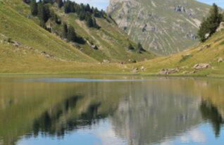 studio cabine Praz de Lys - Foto 13