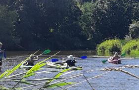 Pasieka Dobro i Smak - Foto 20