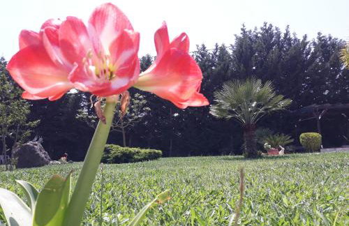 Villa Oneiro - Foto 8