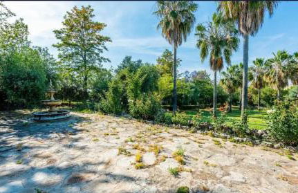 La Algazara - Foto 39