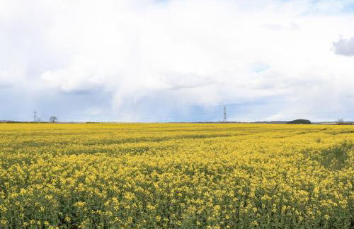 Stackyard House - Foto 35