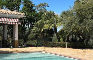 Spacious villa with private pool in Villamartin - Foto 36