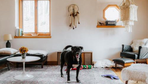 Finnwood - A Pet Friendly Woodland Retreat - Foto 5